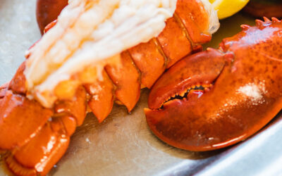 Seafood Restaurants in Waikiki: Fresh Island Flavors at Chart House Waikiki